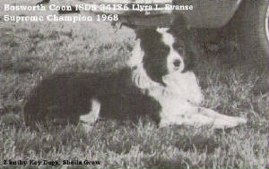 levansbosworthcoon1968internationalsusheepdogchamp