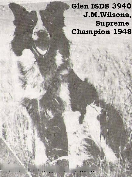 jmwilsonsglen1946scottishnationalsheepdogchampion