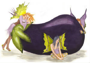 eggplantfaeriesebsq.jpg
