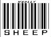 sheep21.jpg